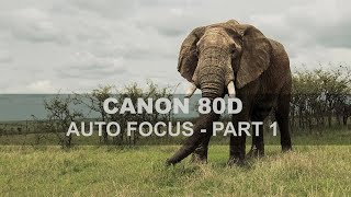 Canon 80D - Auto Focus - Part 1