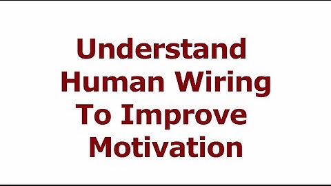 How To Improve Employee Motivation and Productivity