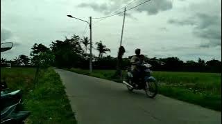 Tarling Cirebonan MP3 2022