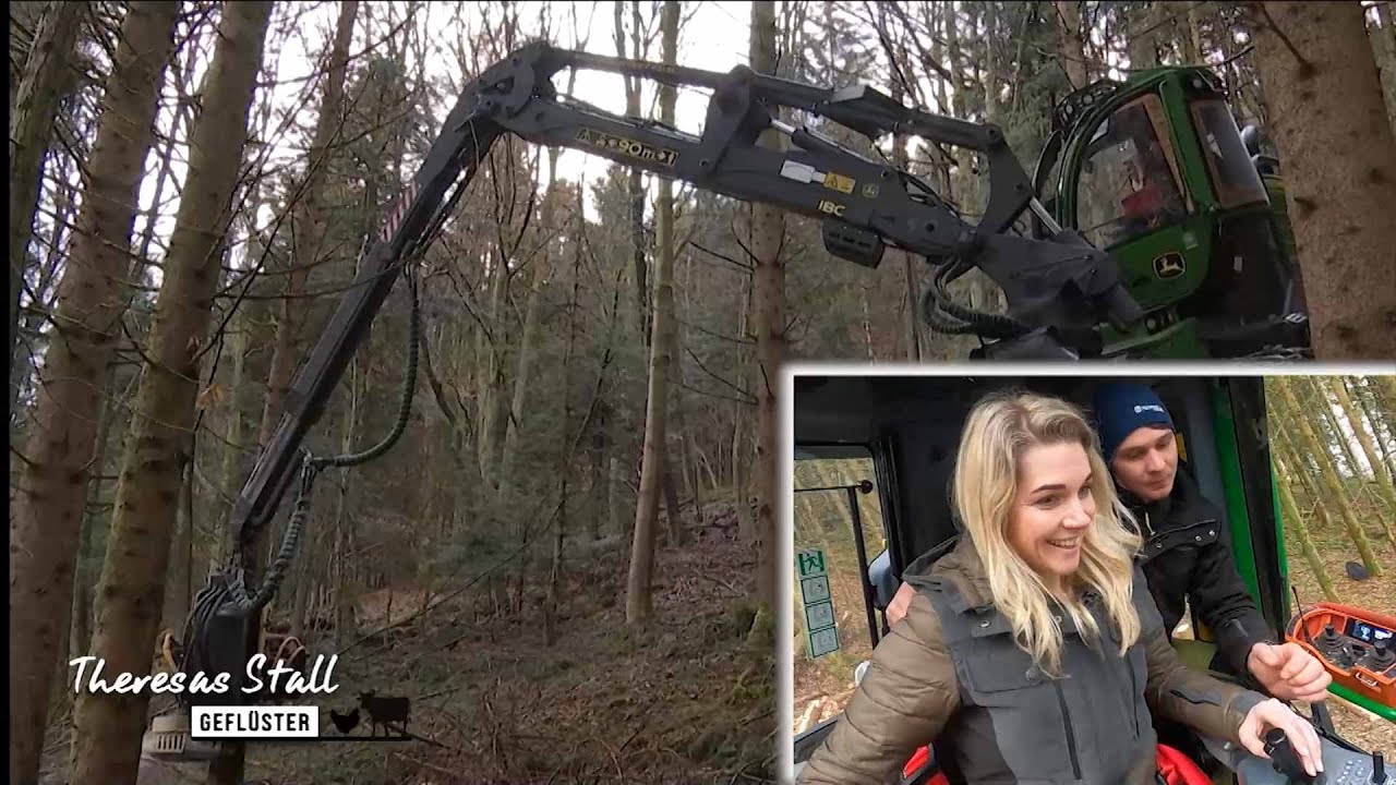 Baum fällt!: Moderatorin fährt Harvester