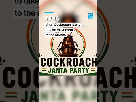 India: Viral 'Cockroach' party to take message to the streets • FRANCE 24 English