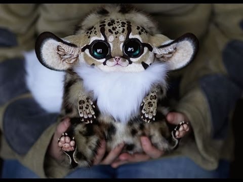 Super Cute Animals | Documentary 2015