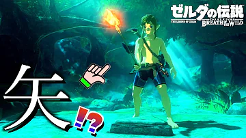 いかぼうずゼルダの伝説バグ تحميل Download Mp4 Mp3