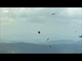 Spectacular Butterfly Mountaintop Gathering | Narrated by David Attenborough | Africa | BBC Earth