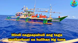 Part308 pacific adventure| Hindi nagpapahuli ang Motherboat sa panghuhuli Ng mga Tuna | #tuna