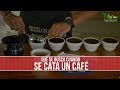 Que se Busca Cuando se Cata el Cafe - TvAgro por Juan Gonzalo Angel