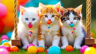 Download Lagu ANAK KUCING MEONG MEONG - SI MEONG KUCING LUCU ❤️ Lagu Anak Indonesia Viral MP3 Download Lagu ANAK KUCING MEONG MEONG - SI MEONG KUCING LUCU ❤️ Lagu Anak Indonesia Viral MP3