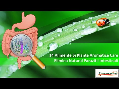 14 Alimente Si Plante Aromatice Care Elimina Natural Parazitii Intestinali Vivasan /Vivasan Romania