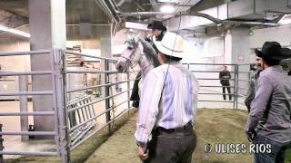 Jose Manuel Figueroa: A Caballo en Vivo - San Jose, CA