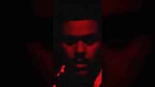 Secrets @TheWeeknd /#starboy #theweeknd #secrets #xotwod #abel #abeltesfaye #weeknd #xo