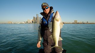 Vertical Jigging Skyscraper Walleyes on the Detroit River  In Depth Outdoors TV S16 E22