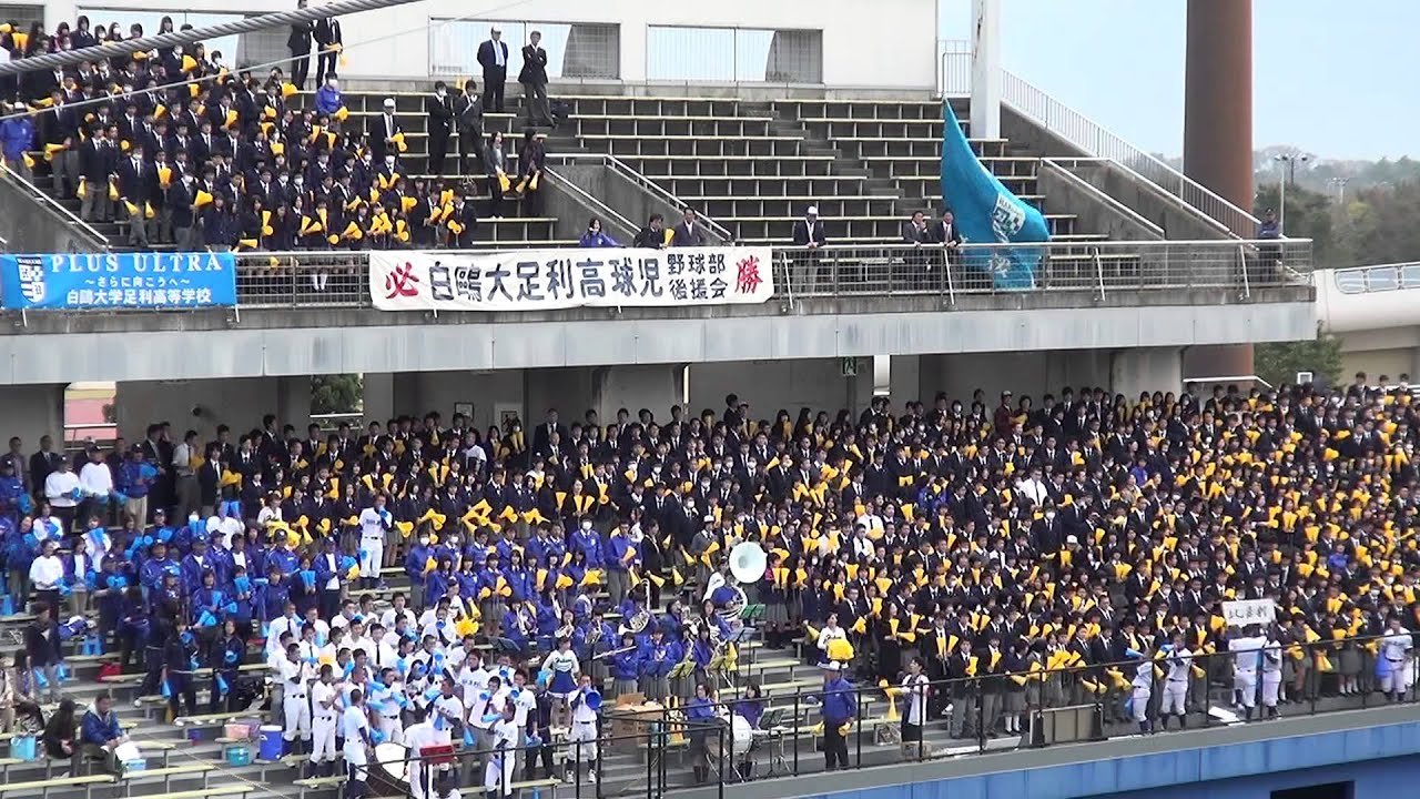 ブラバン チア 白鴎大学足利高等学校 13秋季関東大会 Youtube