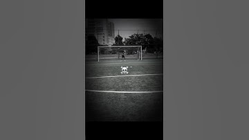 A random video from my Reels feed #182 #shorts