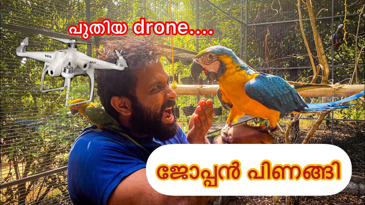 ജോപ്പൻ പിണങ്ങി 😣|| ആകാശത്തിൽ നിന്നും ഒരു കിടിലൻ Aviary കാഴ്ച😍|| Aviary for Exotic Birds ||vlog #34