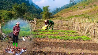 Building a new life ep.4 | Fertilize vegetables, dig a foundation for barns - Live with nature