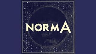 N.D.I