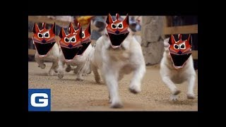 Running Of The Woahs