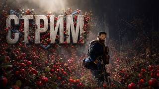 CALL OF КЛЮКВА: MW 2019, ПРОХОЖДЕНИЕ