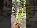 কাঁচা টমেটোর কাবাব #minivlog #banglaminivlog #foodvloger #funny