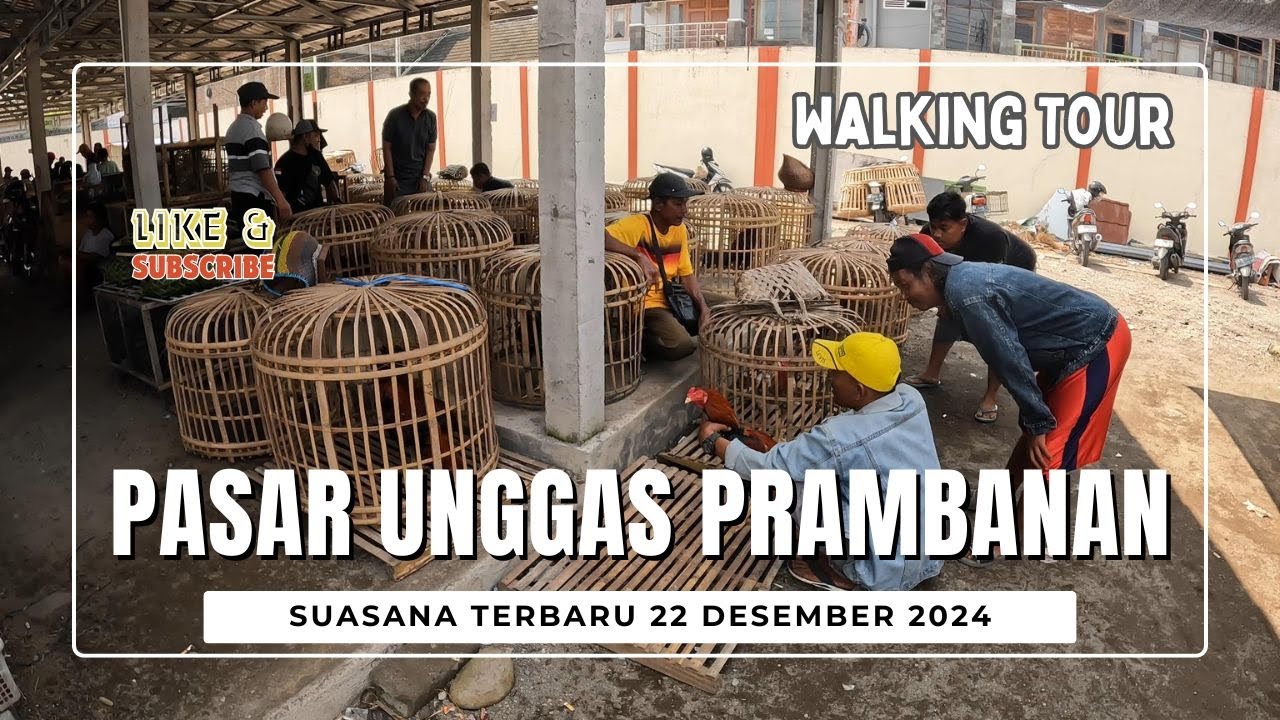 Pasar Unggas Prambanan || Suasana Terbaru Setelah Direnovasi.