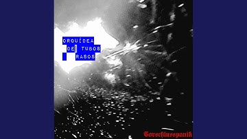 La Mallumo Koruptas Kaj Konsumas La Estaĵojn Kun Rompitaj Animoj, Sed La Lumo Altigas La...