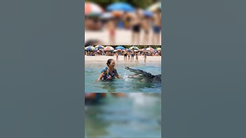 tạo video bằng công nghệ AI VEO 3 | bà cô tắm cùng cá sấu|