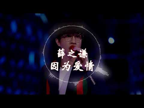 【HD高清音质】 薛之谦   《因为爱情》 动态歌词版本 【虽然会经常忘了,可我依然爱着你   】
