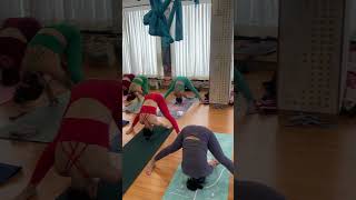 Ashtanga yoga forward folding pose yoga ashtanga explore begginers viral weightloss shorts