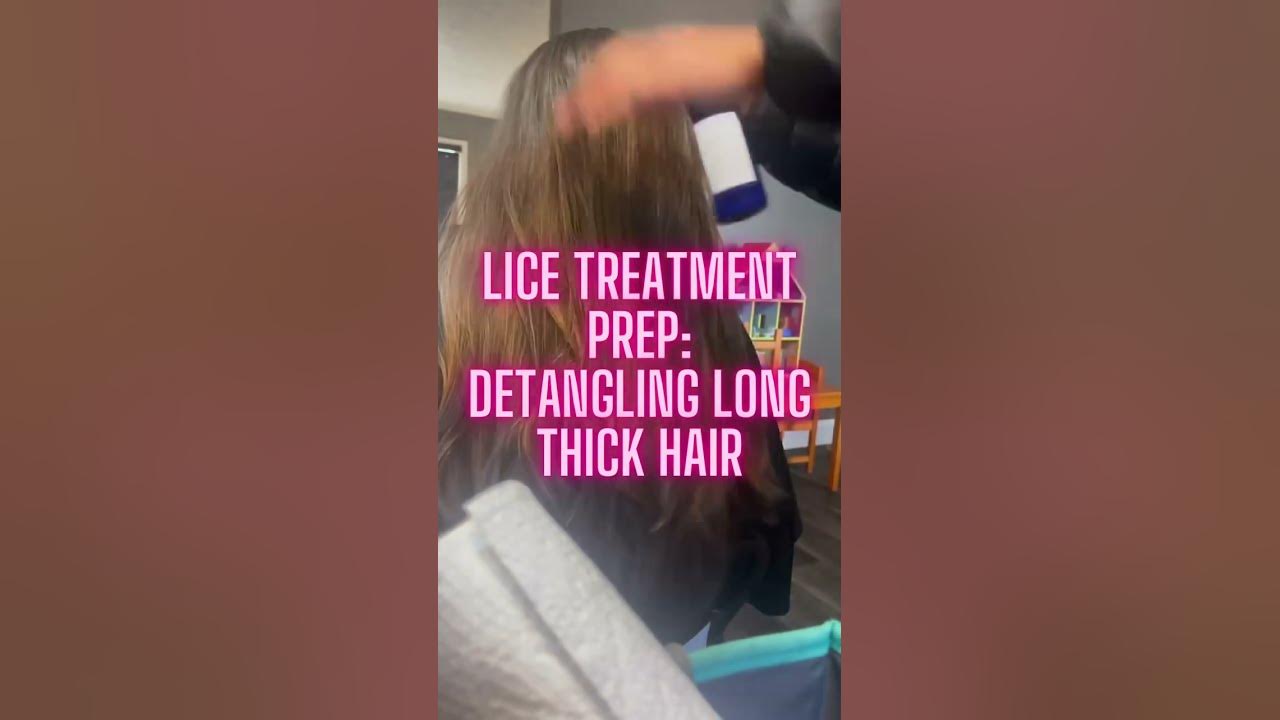 Lice Removal Prep Detangling Long, Thick Hair l Lice Removal Service explore hair lice 