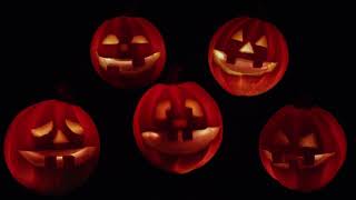 Pumpkin Patch | Chuck E. Cheese Songs | Halloween