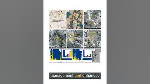 Role of depositional and diagenetic controls on reservoir quality of complex heterogenous tidal sand