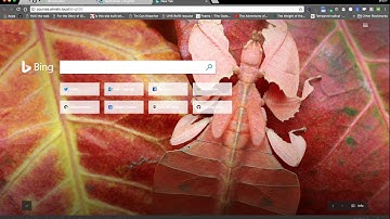 Drupal views, blocks, entities and token... tags
