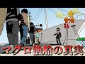 【合法】借金が返せないとマグロ漁船に乗るって本当なの？【昔ばなし】
