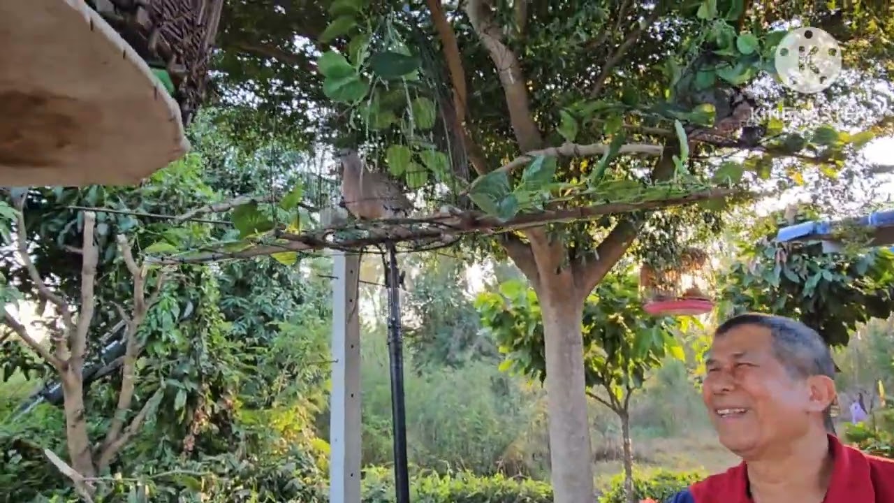 นกต่อดาวรุ่งเก๋าๆ #เจ้าดุ คูอ่าง หนุนอ่าง สัพอ่าง คารมจัดๆ ปิดการแบ่งครับ  