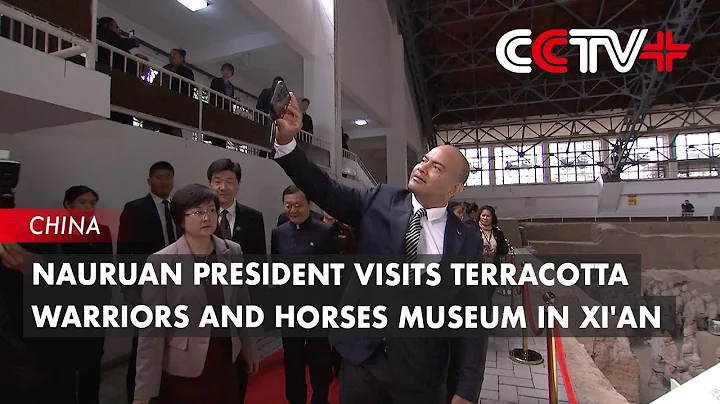 Nauruan President Visits Terracotta Warriors and Horses Museum in Xi'an - DayDayNews