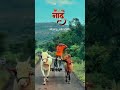 Ghoda gadi race Kolhapur 🔥🐎 || घोडा गाडी शर्यत || घोडा शर्यत कोल्हापूर || #shorts