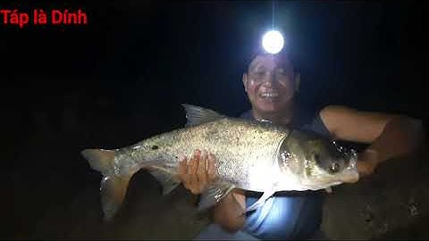 Táp là Dính # Câu cá mè tập 1 Hồ đá làng đại học Thủ Đức toàn mè khủng