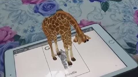 Hướng dẫn cài đặt phần mềm động vật 4D - Animal 4D+