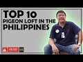 TOP 10 PIGEON LOFT IN THE PHILIPPINES