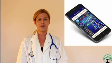 Day #2 Genius Insight Onboarding Discovery Process