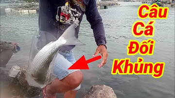 Câu Cá Đối KHỦNG Bằng Chai #1 | Kịch Tính Khi Cá Tung Cước | Great Fishing By Bottle