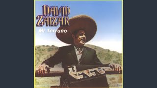 Video thumbnail of "David Záizar - Nuestro gran amor"