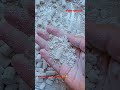 white chalk crush uh la la enjoy😋🤩😍 |ASMR #asmr #short #chalkasmr #chalksound #chalkcrunch #shorts