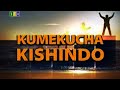 KUMEKUCHA KISHINDO MIFUMO YA UMEME NOVEMBA 25 2024 