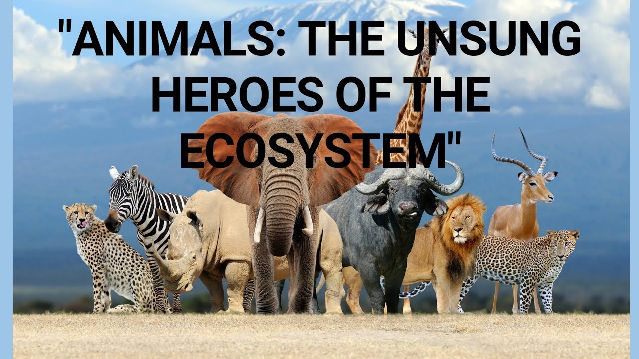You won't believe how they save the planet | The surprising role of ...