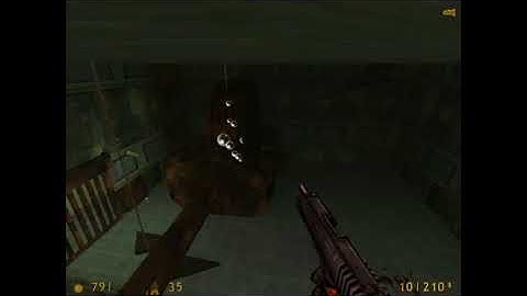 Ichthyosaur Encounter