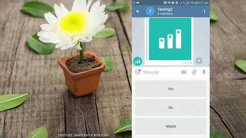Telegram Bots Usage In Groups Or Individually