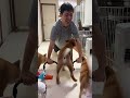 ฟิตเนสกับน้องหมา! 💪🐕