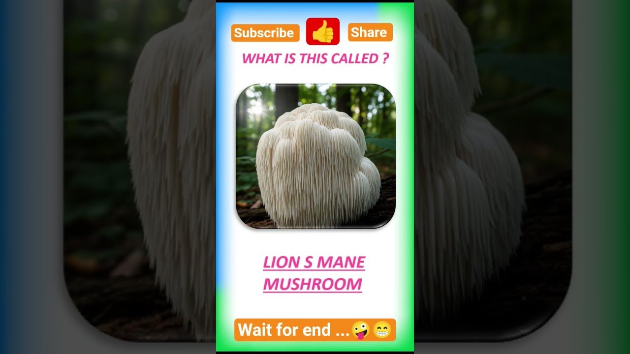 Can you name these mushrooms?#shorts,#dailyenglish,#learnenglish,#vocabulary,#english,#trendingshort