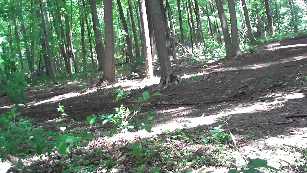 High reving banshee action YouTube